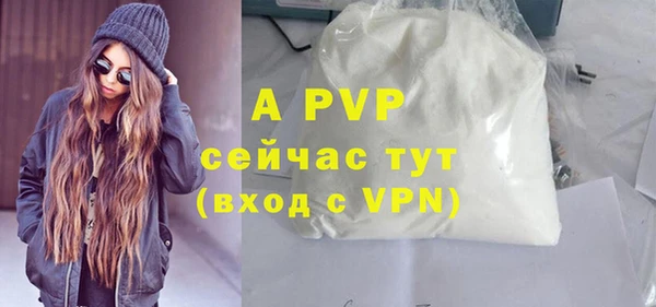 apvp Карпинск