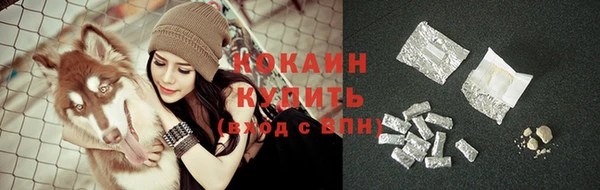 apvp Карпинск